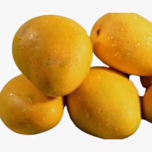 Banginapalli Ulavapadu