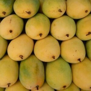 Banginapalli Ulavapadu